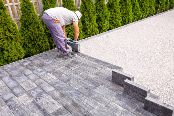 Best Driveway Paving Contractor  in Colorado City, TX